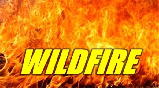 Wildfire smoke visible on radar in Ware, Coffee counties