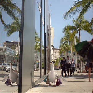 Fly with Air New Zealand from Australia to LA, San Fran, Houston and Vancouver via Auckland. Discover a Better Way to Fly. | Air New Zealand