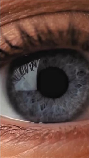 how human eye actually works ?