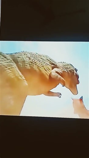 carnotaurus versus t-rex battle scene#dinosaurs