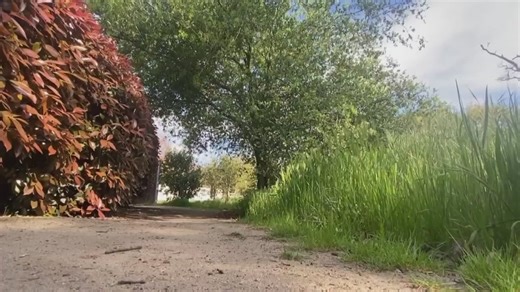 Construction underway on phase 1 of a Roseville trail