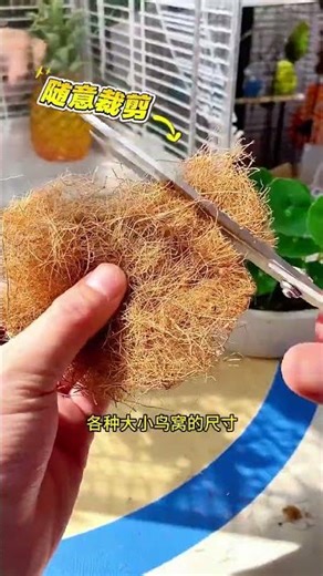 Choose natural coconut fiber for your bird's nest! No additives, no odor, it not only keeps your