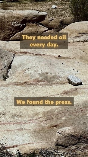 Oil for the Tabernacle: What We Found at the Base of Mount Sinai