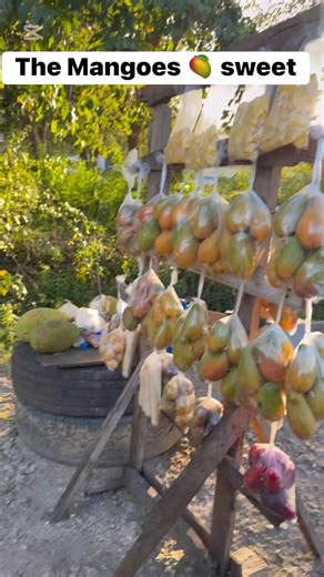 41K views · 1.3K reactions | The mango 省 man | Teaching You My Cooking Skills | Facebook