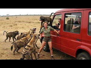 Exciting Safari Wildlife Moments Captured on Camera in 2025
