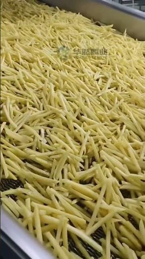# French fries processing assembly line