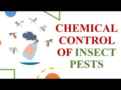 Chemical Control of Insect Pests