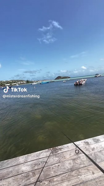 Grosse touche de TARPON ! #tarpon #stbarth