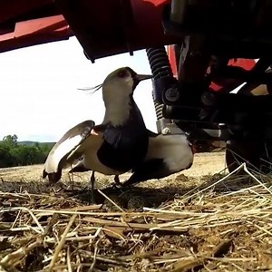 2M views · 8.1K reactions | The Value of a mother <3 Like our Page : The Free Study Join our Group for Ebooks : Free PDF Books - Download | The Free Study | Facebook