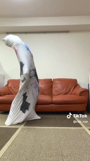 美少女無罪♡パイレーツの魅力を探る