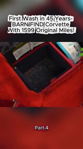 Corvette Interior Deep Clean: Mouse Infestation Rescue