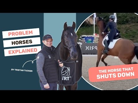 The horse that SHUTS DOWN | Problem Horses Explained | S1E1