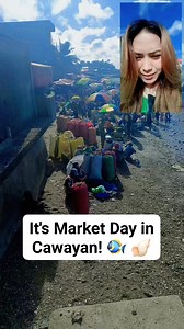 Good morning, Philippines! 🌞 #shells #seafoods #seafoodsupplier #CawayanMasbate #reelsvideoシ #reelsfypシ #reelsviralシfb #sunday | Ma'am Jude