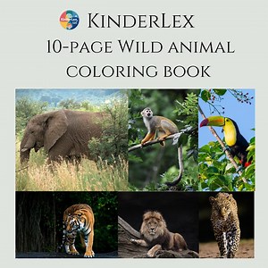 10-page Jungle Animal Coloring Book I Ages 6–10 | Printable Book - Etsy Canada