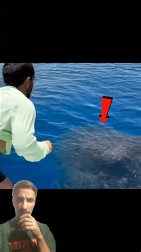 🎣 Risky Catch: Diver Jumps into Swarm of Fish!