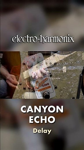 EHX Pico Canyon Echo Delay Pedal Demo