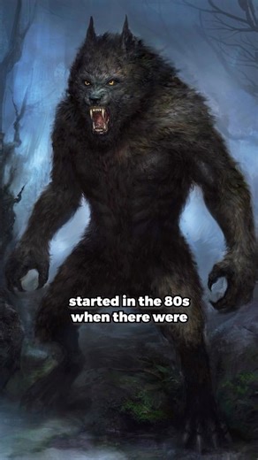 Are there werewolves in Benoni, South Africa!? 😱🇿🇦 #southafrica #southafrican #southafricaza #mzansi #johannesburg | Cool Story Bru