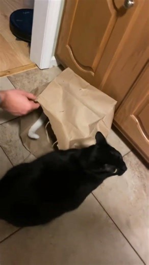 Jet really said nothing to see here 😭