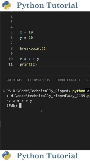 How to Quit Python Breakpoint | Python Tutorial
