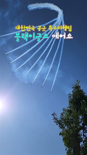 대한민국 공군 특수비행팀 블랙이글스 에어쇼