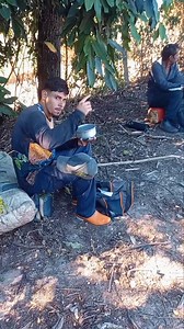 Alan Wilson on Reels