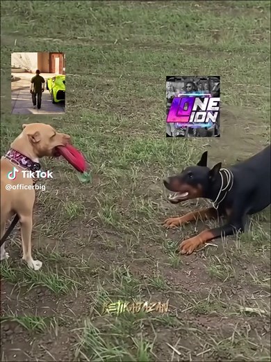 One State Roleplay Overview