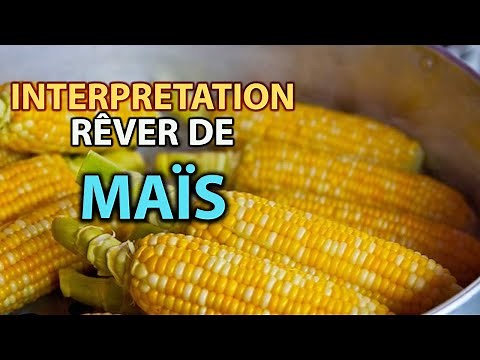RÊVER DE MAÏS | signification des reves | interpretation des reves | dream interpretation | MAÏS