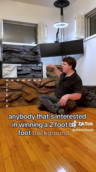 Custom Terrarium Background Giveaway - Enter Now!