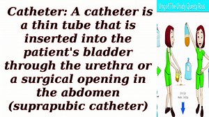How does a urinary drainage bag collect and contain urine output? watch you YT - https://youtu.be/oplzgWQs64w | THNews | Facebook