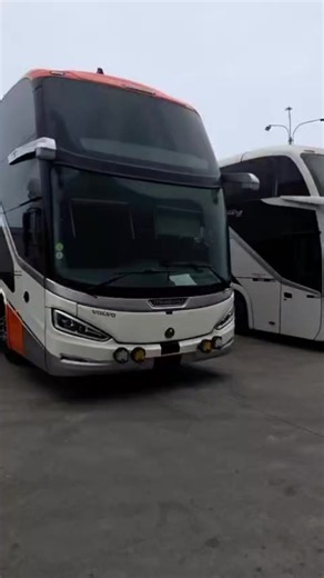 Nueva empresa de buses: ¿a dónde viajará?