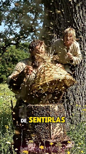 Cada gota de miel que endulzaba la mesa de un rey medieval llegó de unas manos.