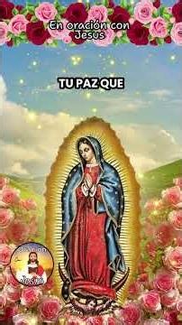 Prayer to the Virgin of Guadalupe 🌹 To receive comfort, peace, and hope #prayer #faith #god