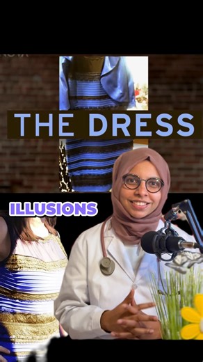 Dr Khadeeja (Dr Brainist) on Instagram: "Do you remember the dress that shocked the internet in 2015? Some people saw white and gold. Others saw blue and black. One image. Two realities. So what really happened? Your brain was trying to correct the lighting. This illusion works because of color constancy - the brain’s ability to keep colors stable under different lighting conditions. Depending on whether your brain assumes daylight or artificial light, it corrects the colors differently. Same im