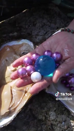 Collecting Pearls from Oysters in the Sea