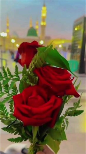 Islamic vide♥️♥️♥️♥️♥️♥️♥️♥️♥️♥️♥️