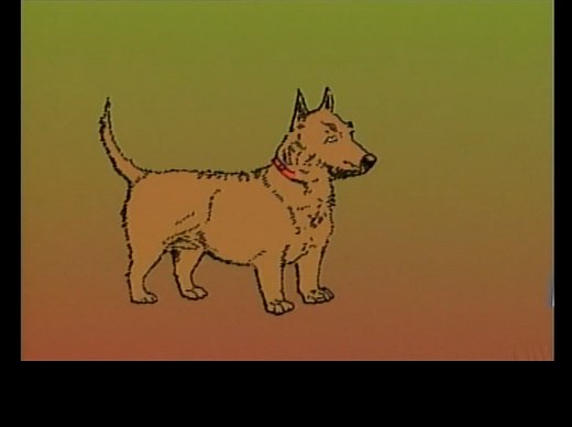 【心理学经典实验】巴甫洛夫的狗实验