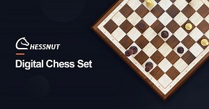3 comments | We hope you have an enjoyable time with Chessnut Digital...
