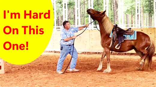 556K views · 8.7K reactions | The work I am doing with this pushy, disrespectful dangerous horse will save her life! | Tim Anderson Horse Training | Facebook