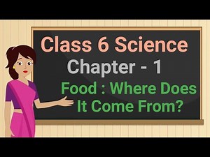 Class 6 Science Chapter 1 'Food : Where Does It Come From' (full chapter) cbse ncert