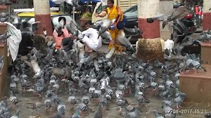 Bandra Mumbai - Queen of Suburbs and Residence of Film stars !!