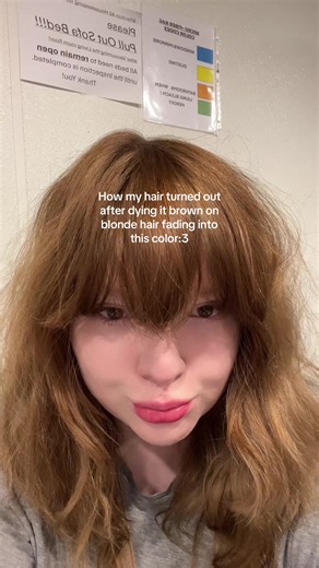 SHOULD I GO BLONDE OR GO BROWN AGAINNNMMN | Brown Hair Dye