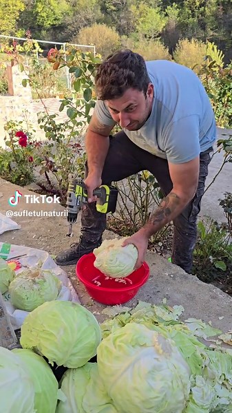 Cum să pui varză la murat: rețete tradiționale și sfaturi practice