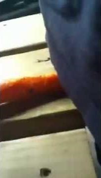 Bme pain olympic original video