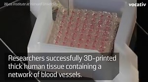 New to 3D-bioprinting: Blood vessels. http://voc.tv/14JQHoo | Vocativ