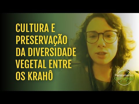 Cultura e preservação da diversidade vegetal entre os Krahô
