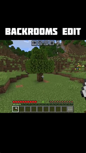 #esc backrooms minecraft