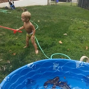 Funny Kids Reactions... Try not to Laugh... 😂😂😂😂 by @Funniest Family Moments | Vines Videos