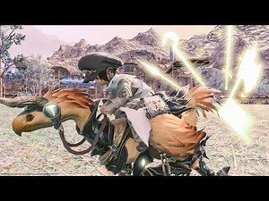 Warrior of Light Extreme / Chocobo Armor "True Barding of Light" ~Final Fantasy XIV~