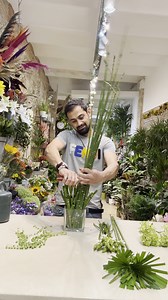 10M views · 89K reactions | Equisetum or "horsetail" is the only...