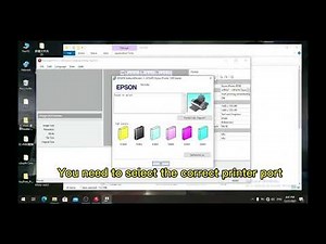 Winner A4 DTF Software Installation